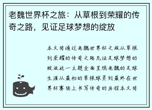 老魏世界杯之旅：从草根到荣耀的传奇之路，见证足球梦想的绽放